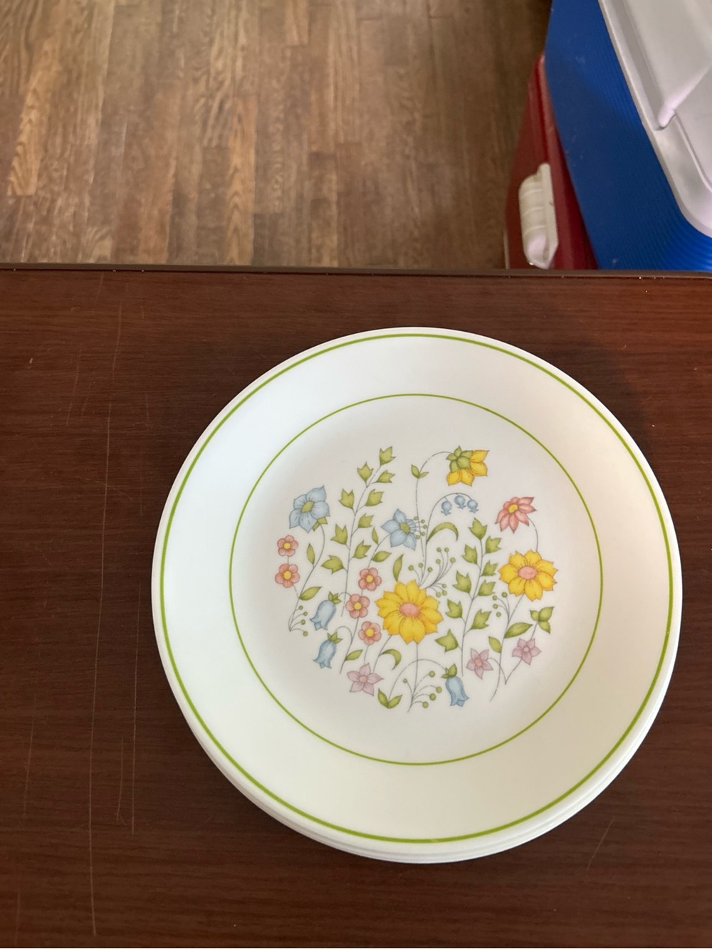 Corelle Springmeadow set of six dinner plates 10 1/4 inches wide, no marks